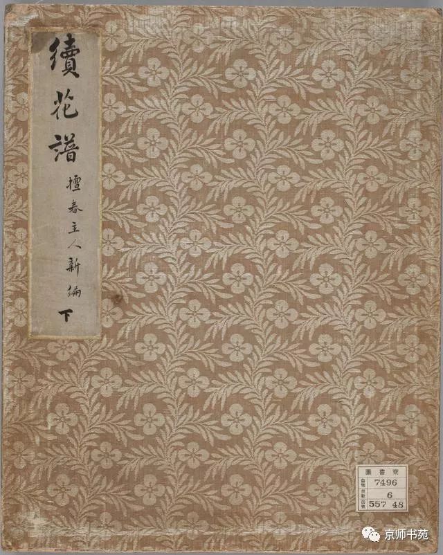 花谱樱井绚绘