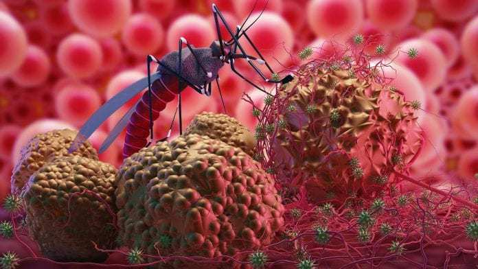 非洲发现耐青蒿素疟原虫疟疾越来越难治了