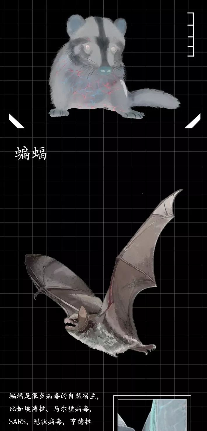 隐藏的「病毒携带者」曝光（赶紧举报）