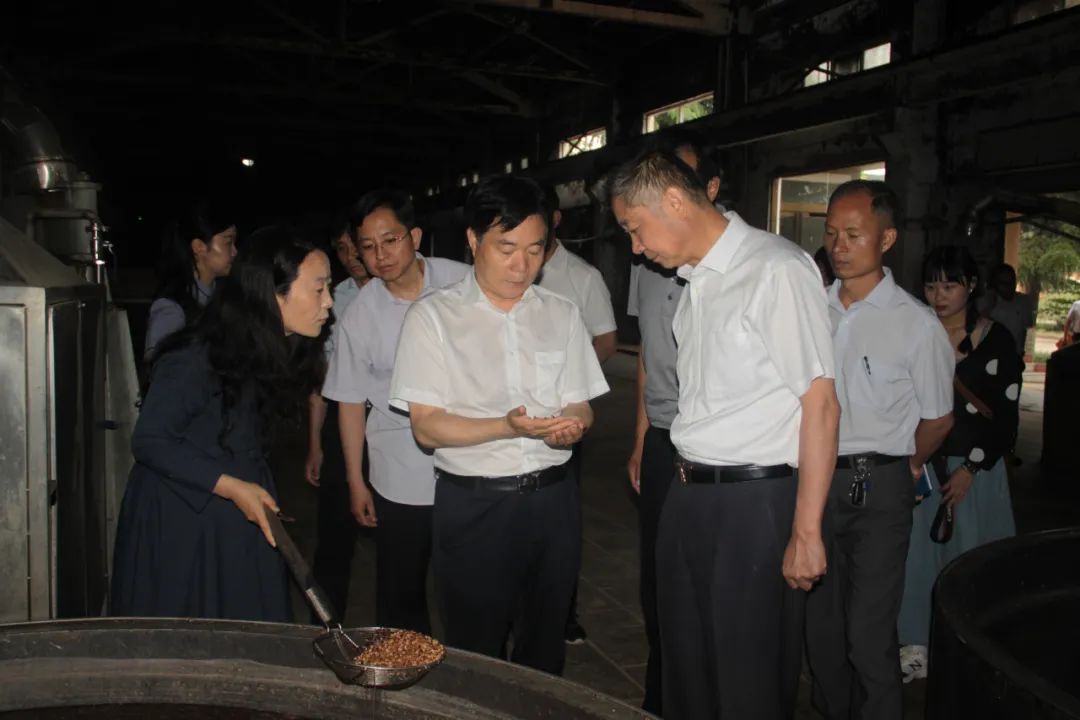 河南省市场监管局副局长杨自明莅临仰韶生态酿酒工业园区调研工作