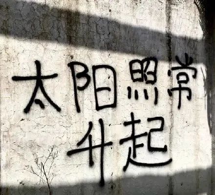 “读了研才发现，学历越高越难找工作”