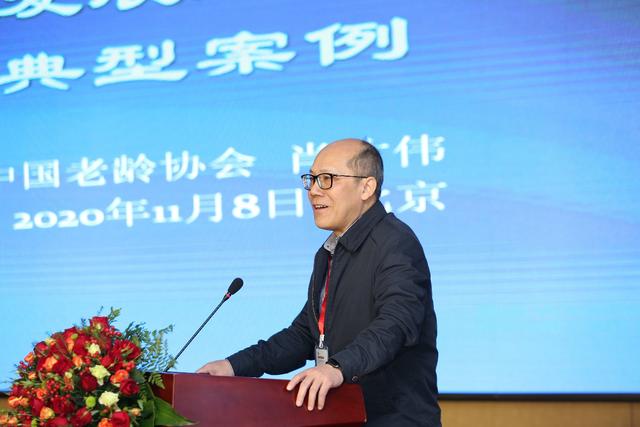全国老龄办党组成员,中国老龄协会副会长肖才伟