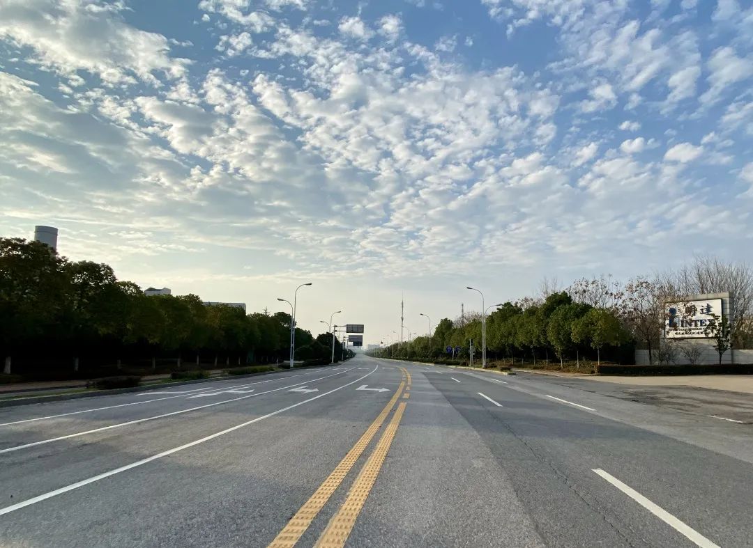 逆行四十日，香港摄记的武汉故事