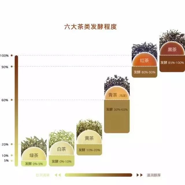 六大茶类最全知识,助你成为喝茶高手