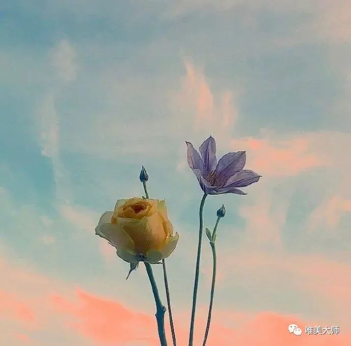 一句话调整心态的句子,修身养性,早读早受益