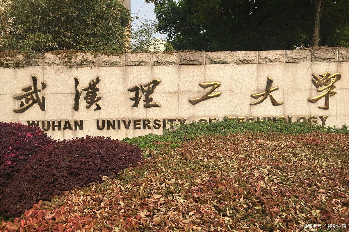 疫情期间武汉理工大学学子积极战疫的大学生党员