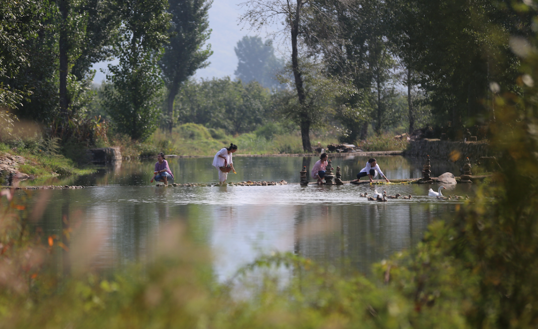 京郊女青年的抱团养老村