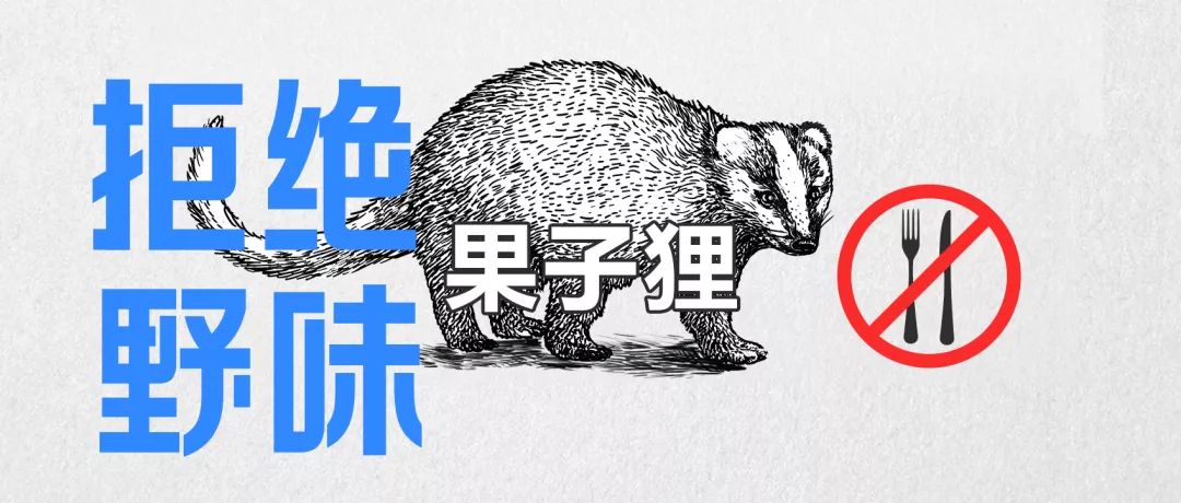 全网最热搜的7种“野味”，请别再祸害它们了