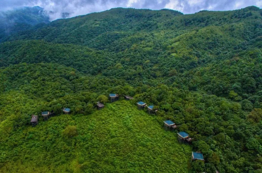 高黎贡帐篷营地,就坐落在这片神秘的土地上,栖息在原始森林静谧的云雾