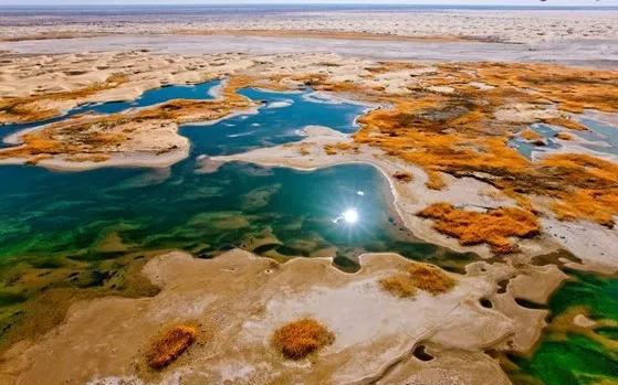 如果可以，一定要去新疆走一走，体会它的千种风情，万种风光（最新发布）