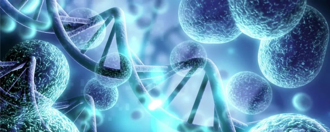 commun biol | 基于单细胞dna测序绘制拷贝数变异图谱,揭示肿瘤的遗传