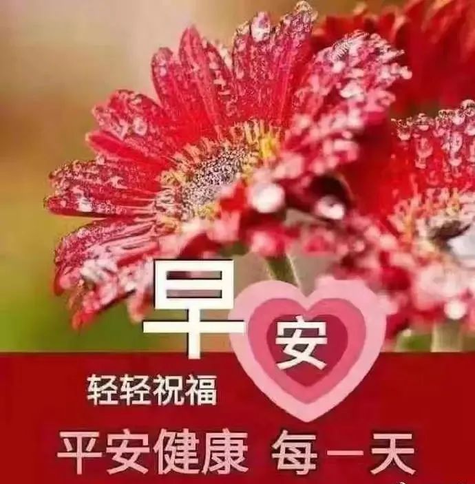 特殊时期保重身体,快乐中享受生活.防范意识第一!早上好