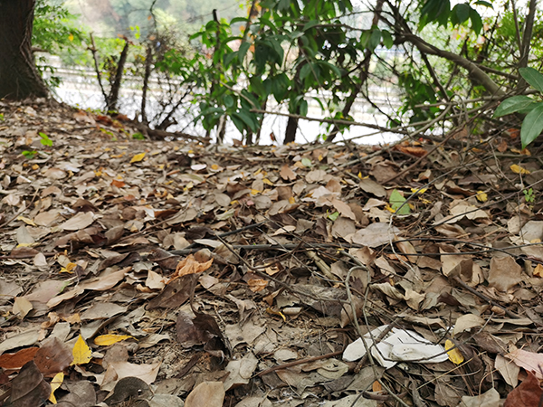 暴富与死亡:老人买彩票中奖千万后死于荒野