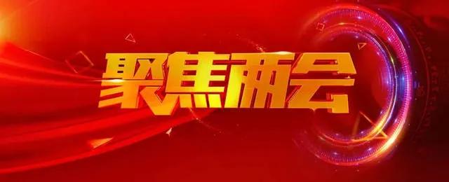 「聚焦两会」2020重点推荐书法家——李鋆作品展