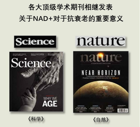 文学军:抗衰成人类永久命题,健康趋势成定局