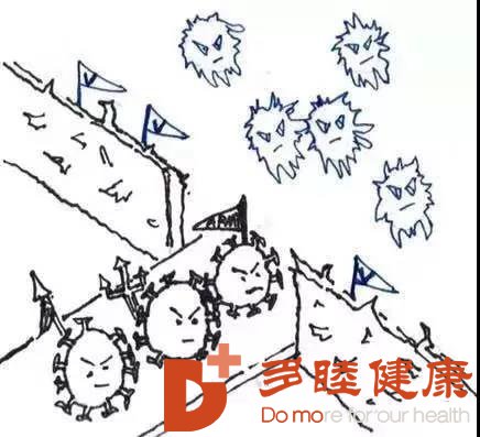 干细胞治疗:免疫系统是如何战胜病毒入侵的