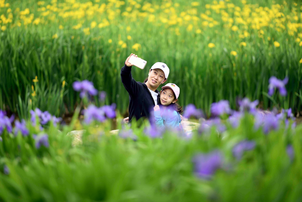 这是真的北京“六环里独一份儿”（最新发布）