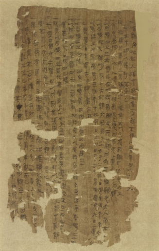 世界人民都有自己的中医|大象公会