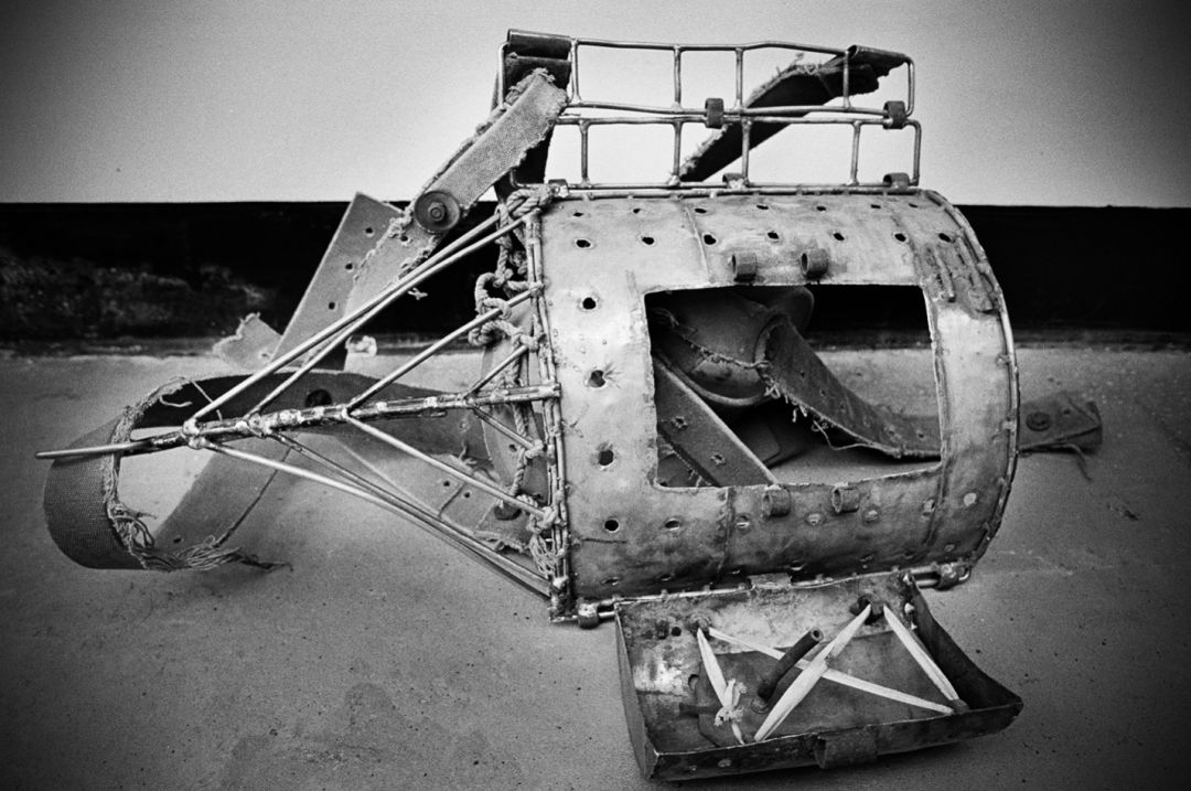 那些因人类的迷信娱乐贪婪，给野生动物带来的苦难