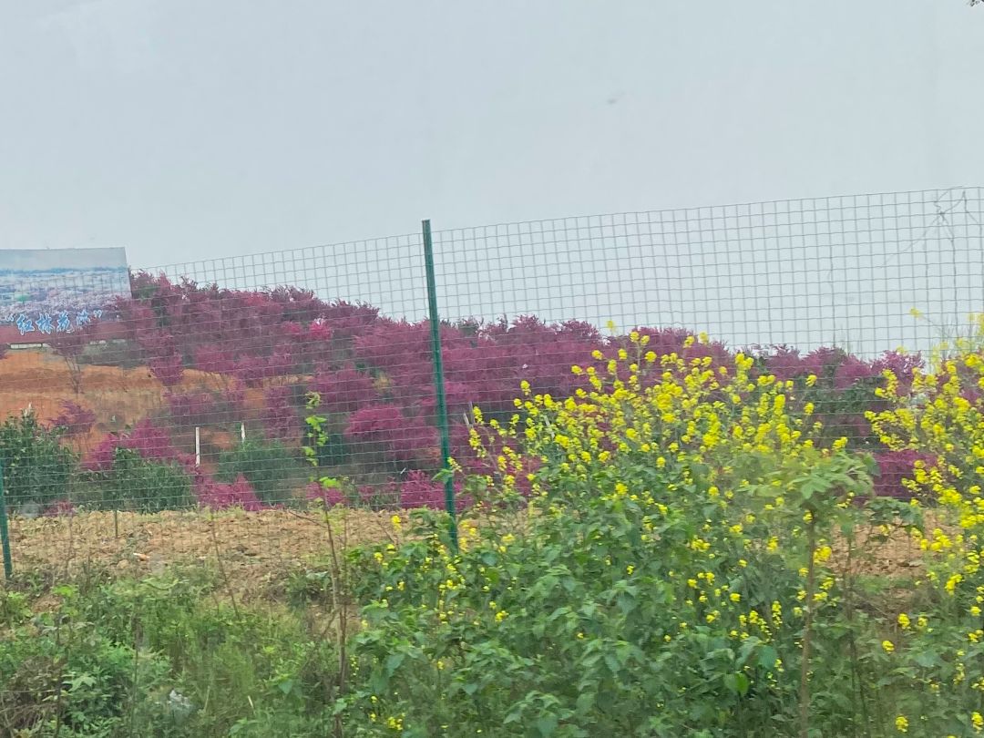 湖北人复工之路：出门到办完离鄂手续只花两小时