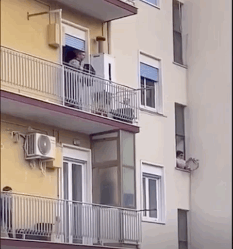 又疯了一个欧欧欧欧欧洲人