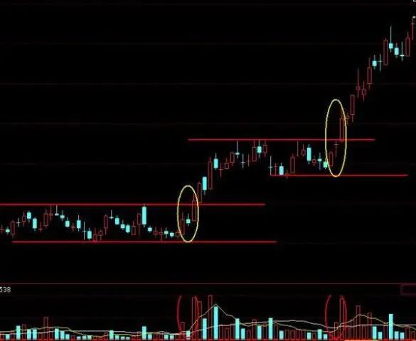 并且须比第一天放量,但不可是巨量 4,第四天必须稍稍放量 (四)"多方炮