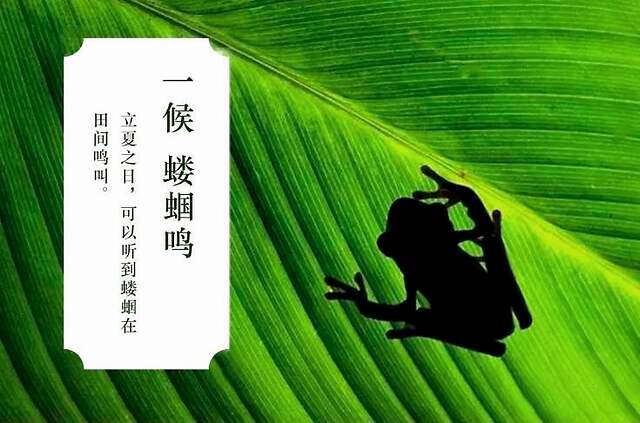 立夏习俗知多少？古代皇帝要祭祀 如今斗蛋称人