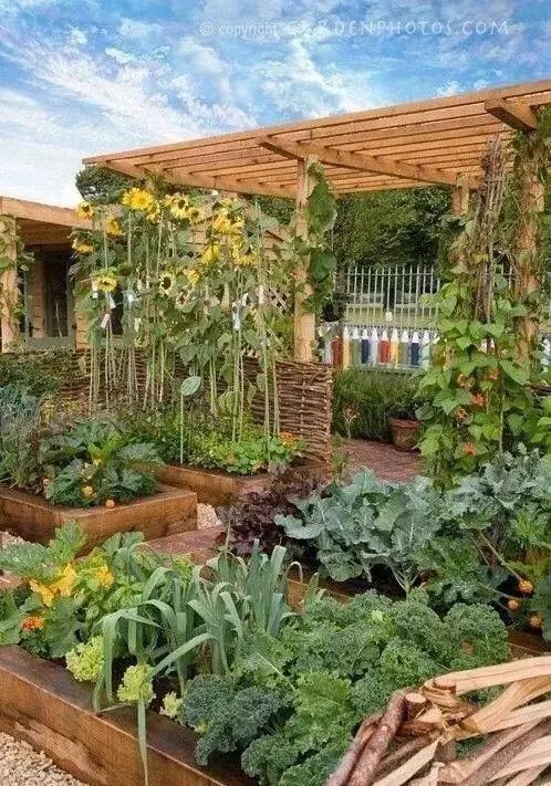 的——豪宅自建房别墅农村乡村庭院子私家花园景观绿化翻新改造设计