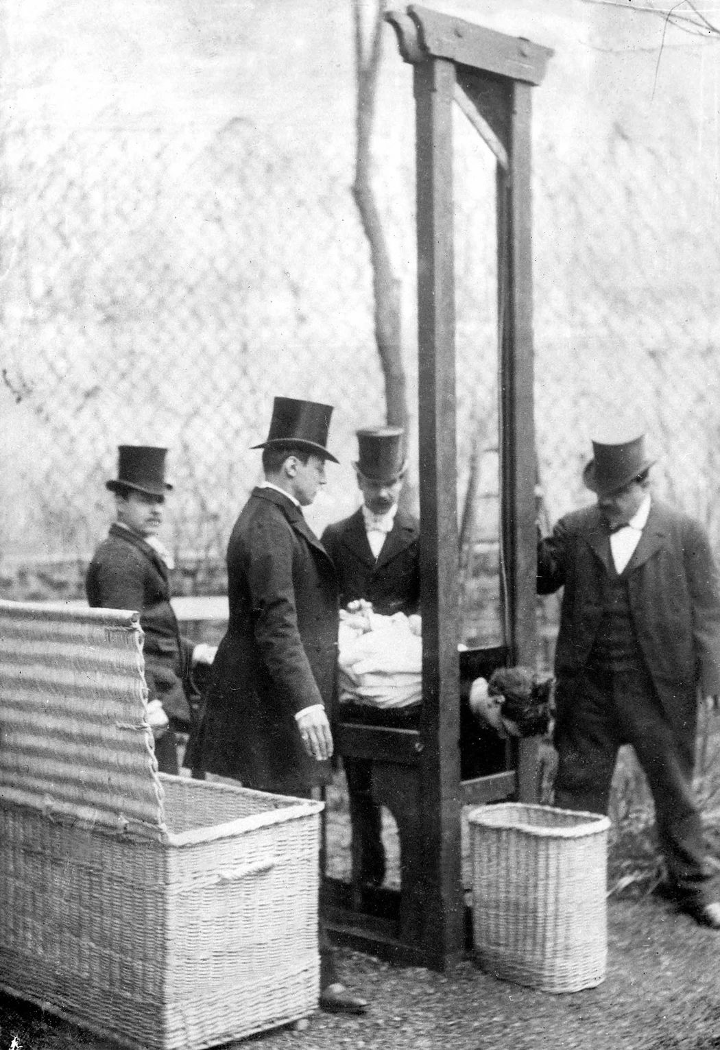 断头台下，人人平等 ｜大象公会