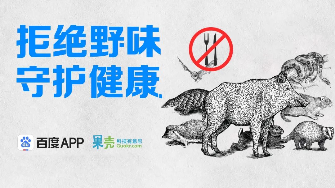 全网最热搜的7种“野味”，请别再祸害它们了