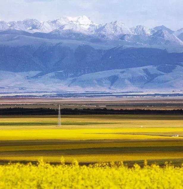 如果可以，一定要去新疆走一走，体会它的千种风情，万种风光（最新发布）