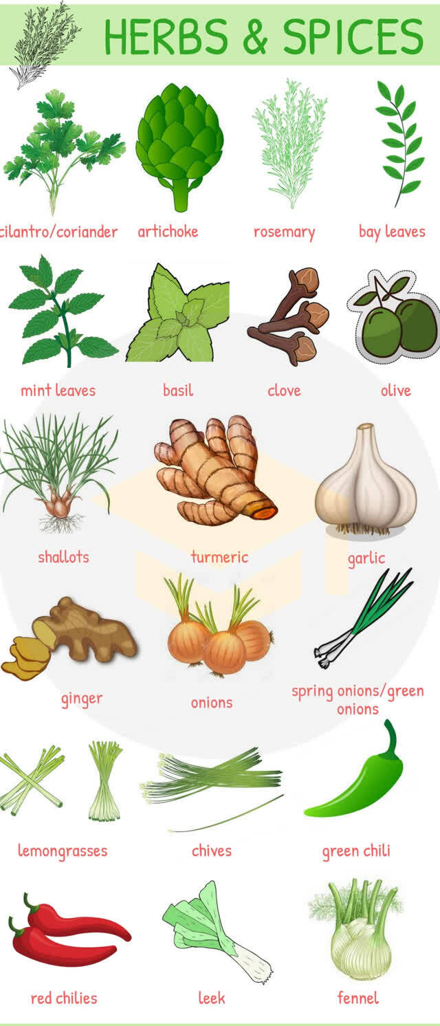 看图学英语:姜葱蒜等植物类配菜,日常英语学习素材__凤凰网
