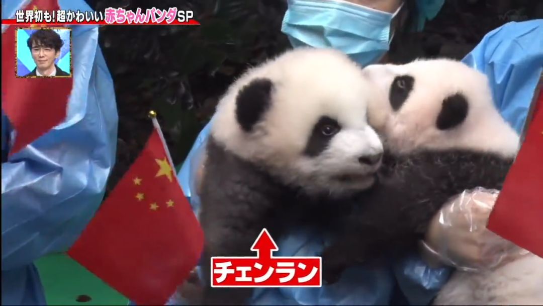 为了学四川话，这个日本姑娘拼了