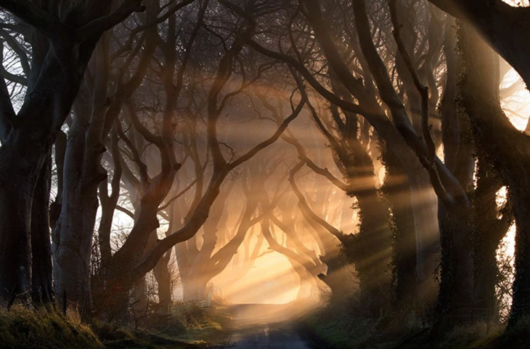 CNN评出世界最美街道,名列榜首的就在大中国