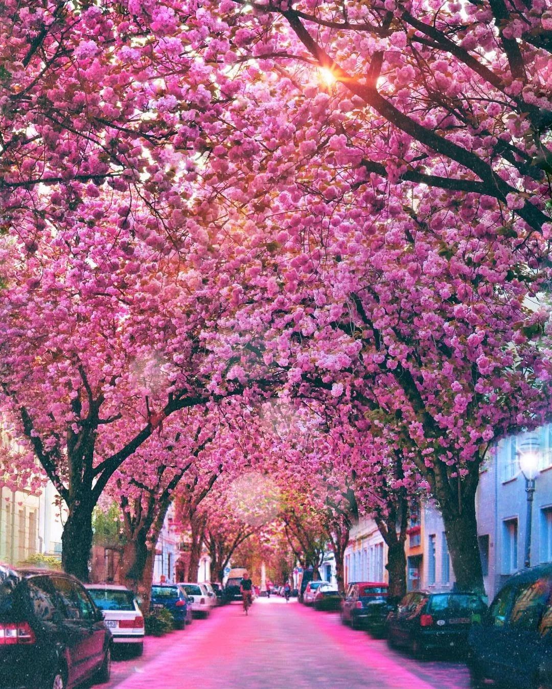 CNN评出世界最美街道,名列榜首的就在大中国