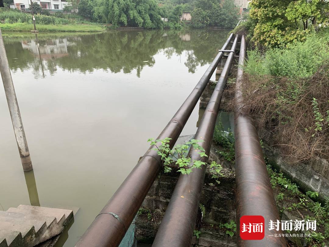 封面新闻追踪报道的四川荣县双石镇盐卤管道爆管污染鱼塘事件,在当地