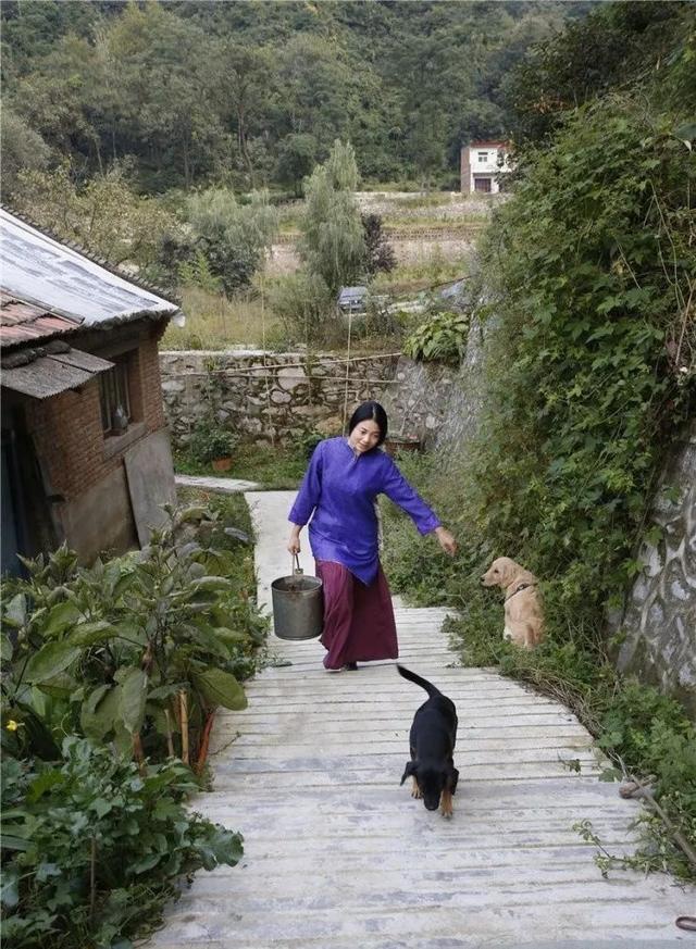 好景不长!那个辞职到山里隐居的姑娘,付不起房租又回来了