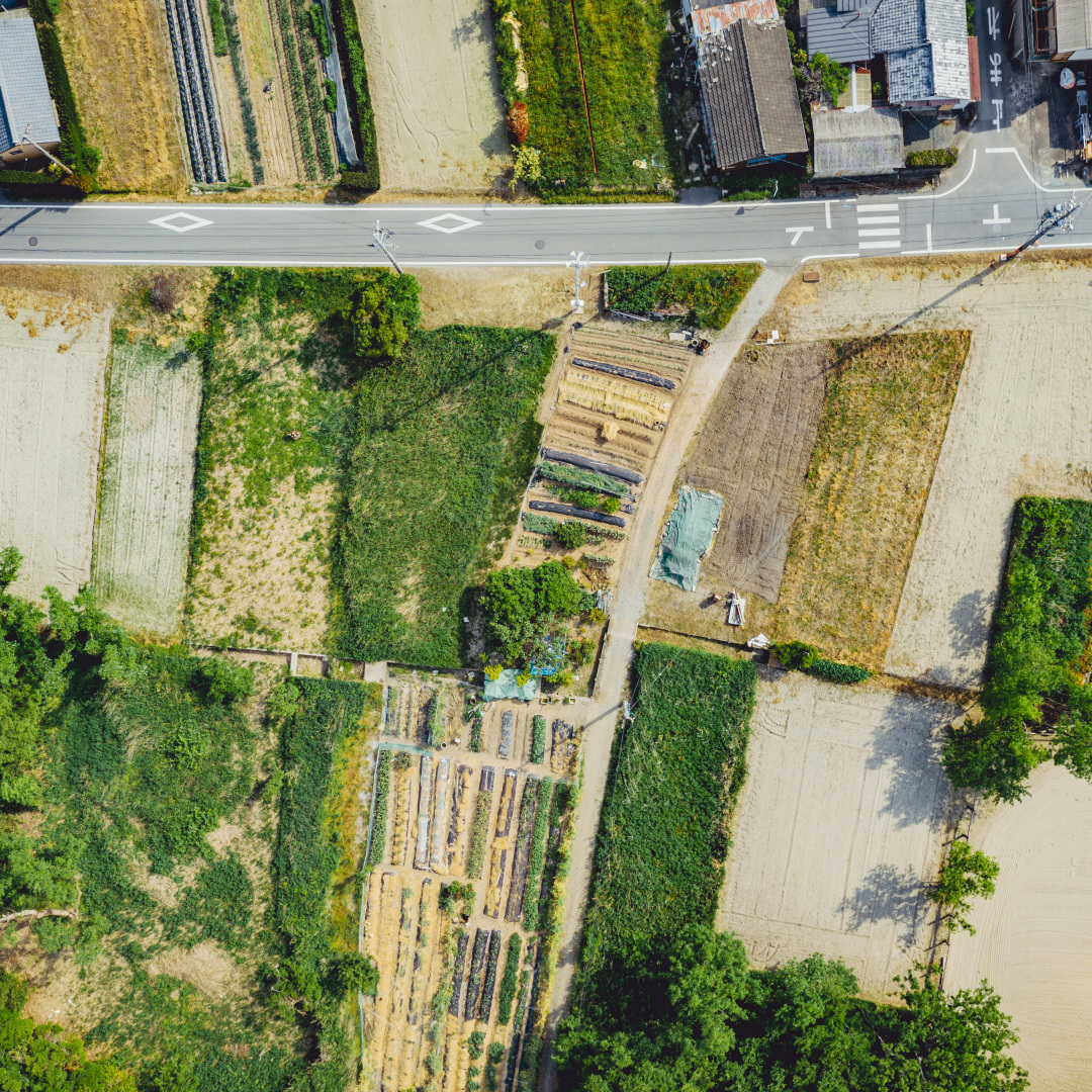 日本，搞过土改么 | 地球知识局