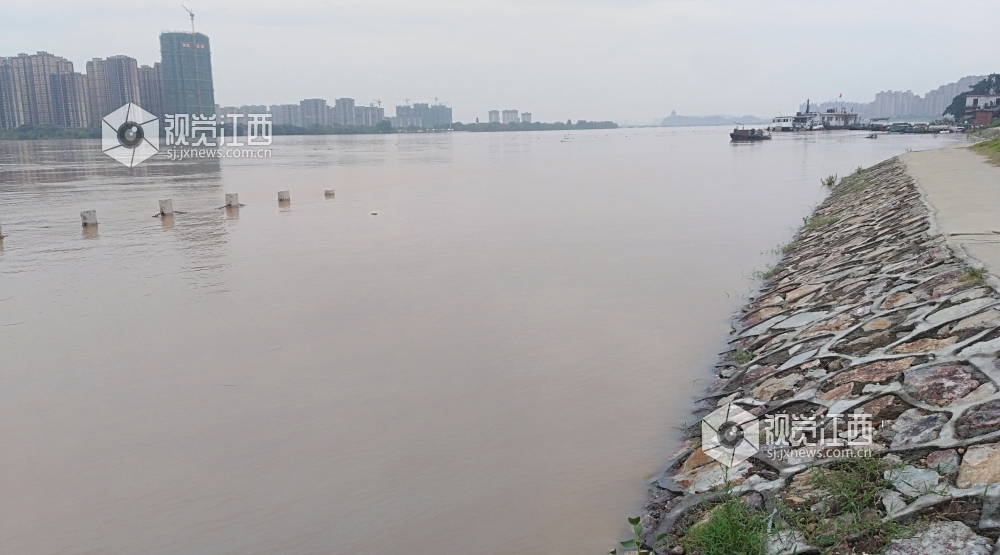 江西省吉安市普降暴雨,一时间洪灾泛滥,市区积水,农田,村庄被淹,赣江