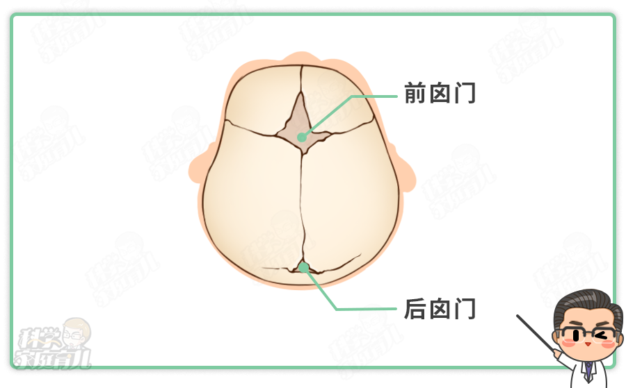 图片来源:科学家庭育儿原创  宝宝的囟门摸不得,会变小哑巴 没有任何