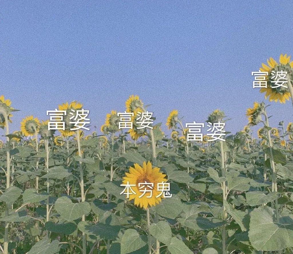 恶搞香菜徒手推楼海里熨衣有人能管管这帮野老外吗