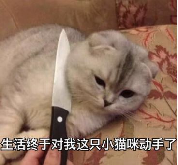 最近你为啥总怀疑体温计坏了