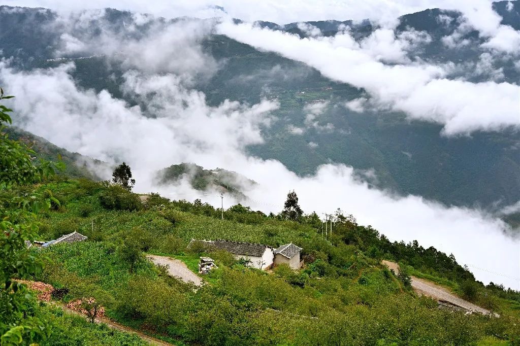 云纺 家访丨第一站 走进云南哀牢山和苍山