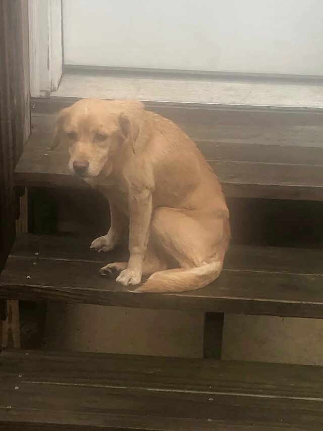 那天夜里，她闯进了陌生人的家……