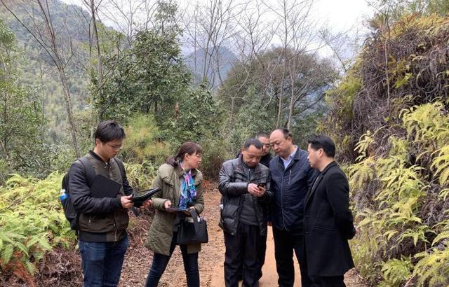 农夫山泉被质疑破坏生态 确涉嫌毁林已立案查处