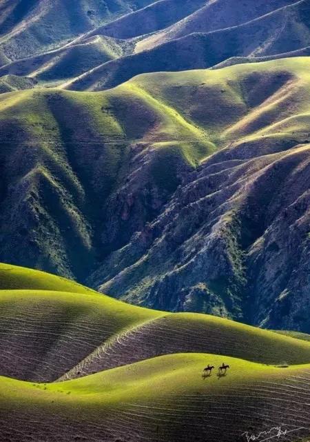 如果可以，一定要去新疆走一走，体会它的千种风情，万种风光（最新发布）