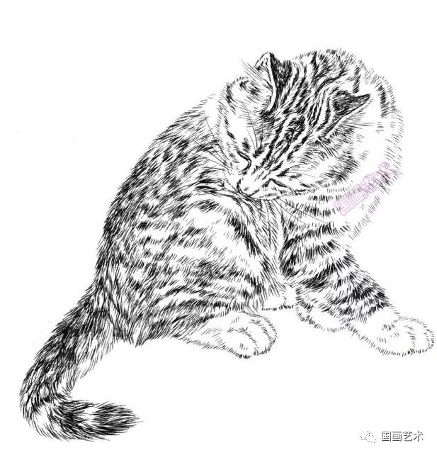 书画联盟丨白描百猫画谱选页欣赏