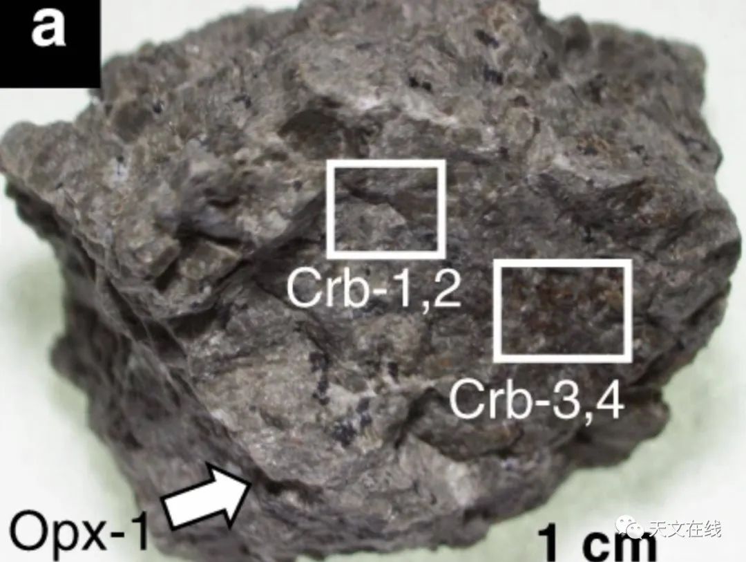 火星陨石alh84001的岩石碎片(左).