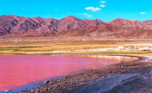 如果可以，一定要去新疆走一走，体会它的千种风情，万种风光（最新发布）