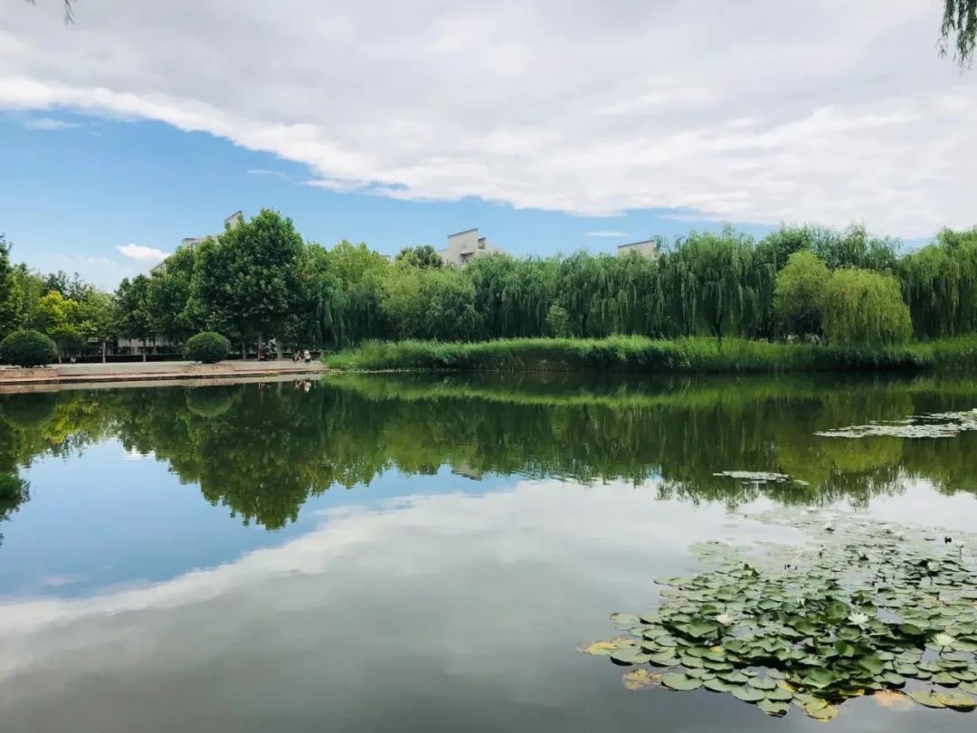 河北科技大学校园风光 四季的科大 风景如画 最美的 不是人间四月天